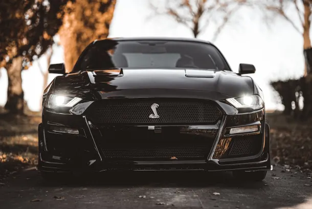 Luckland Kasino Apl Android/iOS